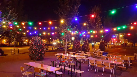 Prikkabel diverse kleuren LED, 50 meter